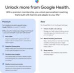 Google Fitbit Air - Image 8