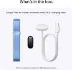 Google Fitbit Air - Image 12