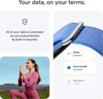Google Fitbit Air - Image 3